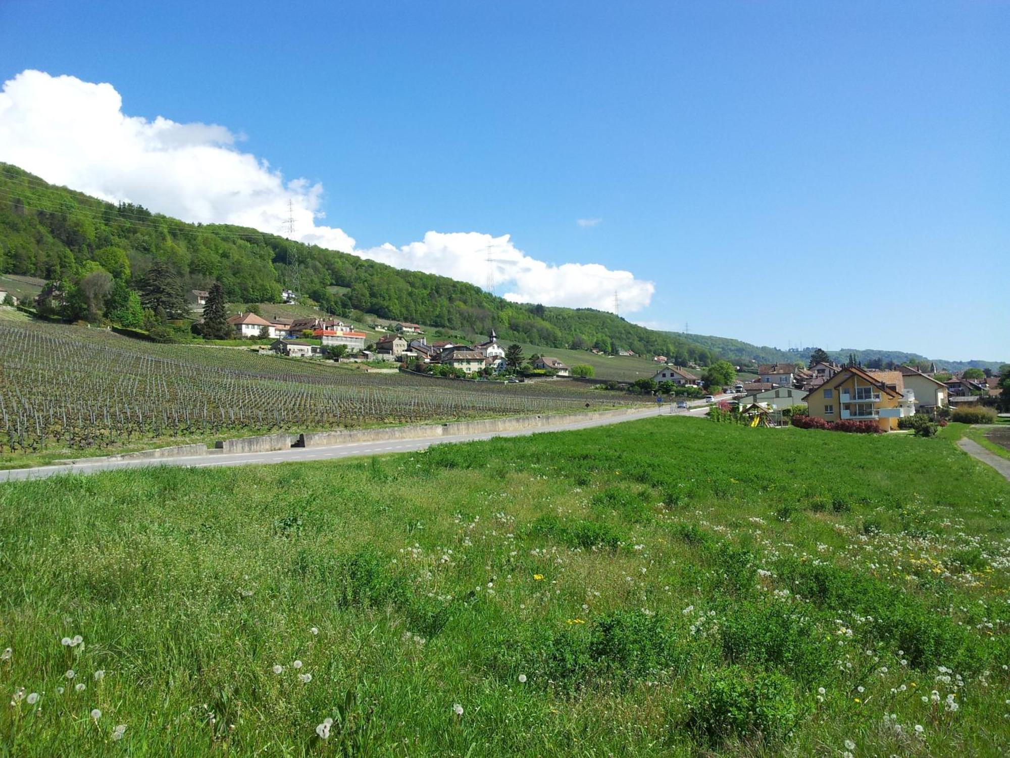 Au Coeur Du Vignoble Sur Bursins Bed and Breakfast Eksteriør billede