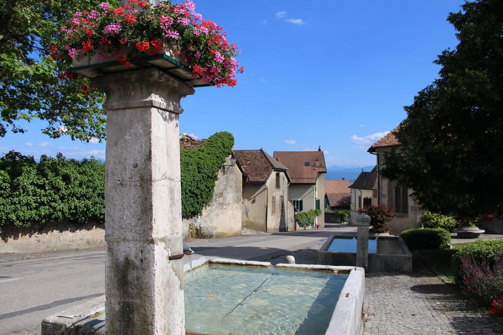 Au Coeur Du Vignoble Sur Bursins Bed and Breakfast Eksteriør billede